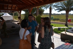 dsc_2730-copiar