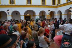 dsc_2900-copiar