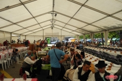 dscn5634-copiar