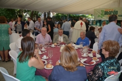 dsc_0105-copiar