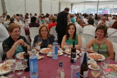 dsc_0130-copiar