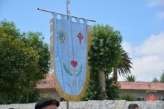 dsc_9874-copiar