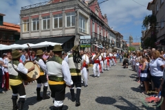 dsc_9919-copiar