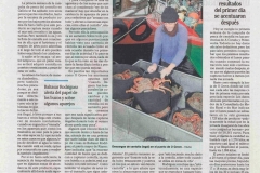 25-noviembre-2014-copiar