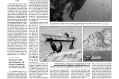 faro-18-11-2011-bis-copiar