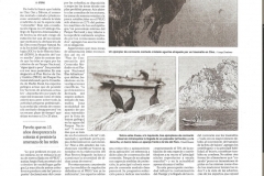 faro-18-11-2011-copiar