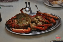 dsc_0940-copiar