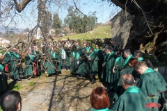 531b5050532e2-sam_7630-copiar