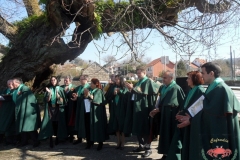 531b53195e85b-sam_7625-copiar