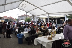 dsc0001-copiar