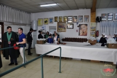 dsc0008-copiar