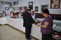 dsc0011-copiar