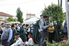 dsc0019-copiar