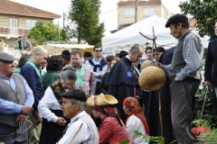dsc0026-copiar