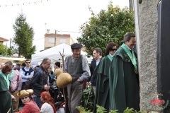 dsc0029-copiar