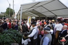 dsc0046-copiar