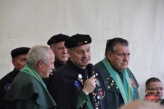 dsc0092-copiar