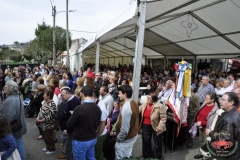 dsc0110-copiar