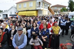 dsc0112-copiar