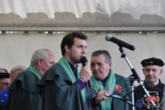 dsc0115-copiar