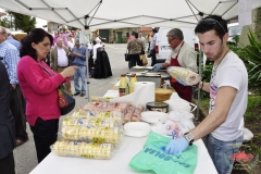 dsc0189-copiar