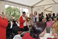 dsc0228-copiar