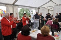 dsc0230-copiar