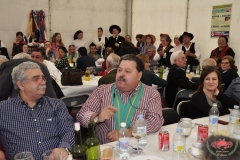 dsc0271-copiar