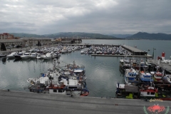 dscn4706-copiar