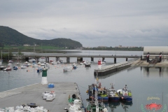 dscn4711-copiar