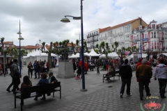 dscn4846-copiar
