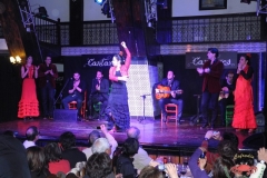 dscn4560-copiar