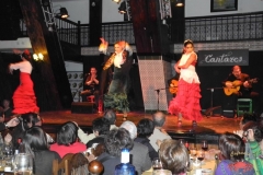 dscn4571-copiar