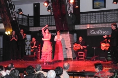 dscn4577-copiar