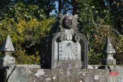 dsc_4349-copiar