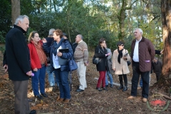 dsc_4390-copiar