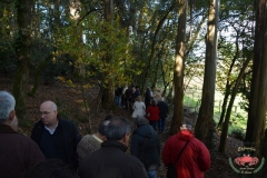 dsc_4392-copiar