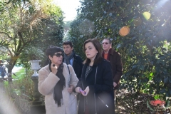 dsc_4404-copiar