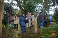 dsc_4409-copiar
