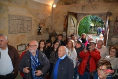 dsc_4439-copiar