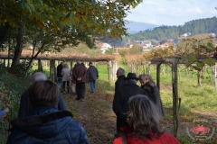 dsc_4449-copiar