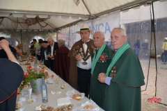 dsc_0304-copiar