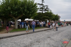 dsc_0319-copiar