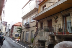 DSCN5427